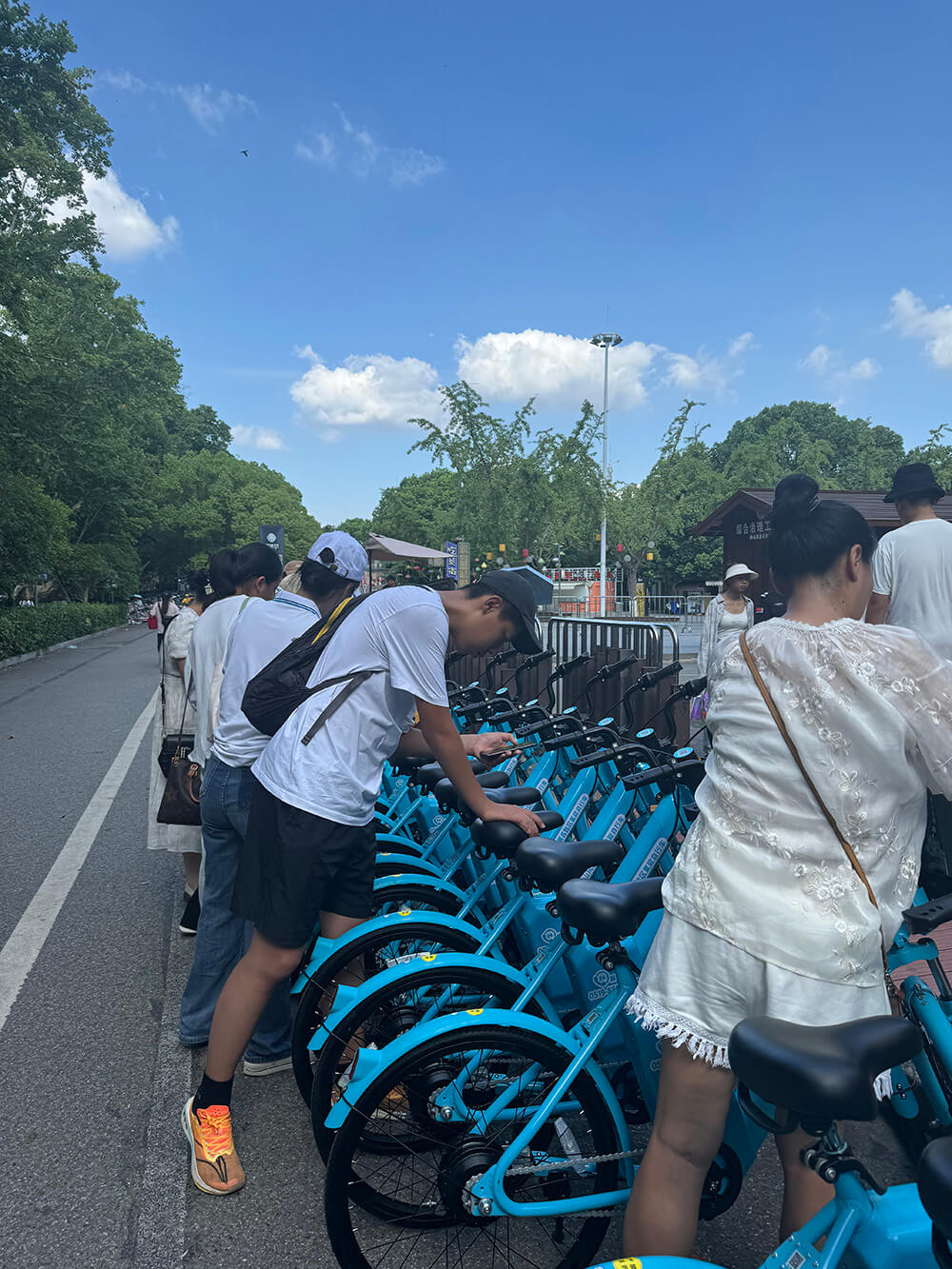 250輛氫能自行車(chē)投身南京鐘山風(fēng)景區(qū)
