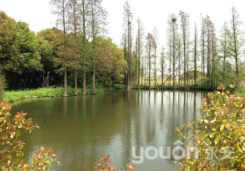 【春日綠騎】永安員工初探天然氧吧——新龍國(guó)家森林公園