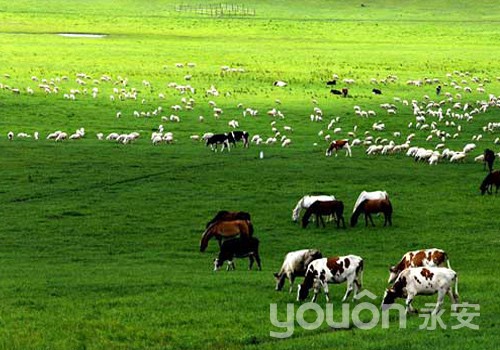綠色“新”風(fēng)吹進(jìn)內(nèi)蒙：永安公共自行車即將亮相準(zhǔn)格爾旗